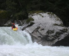 Adidas Sickline Report